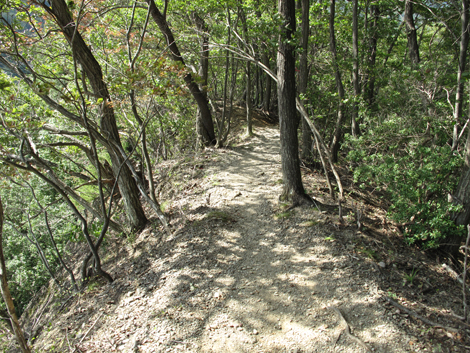 20151006hike (294)